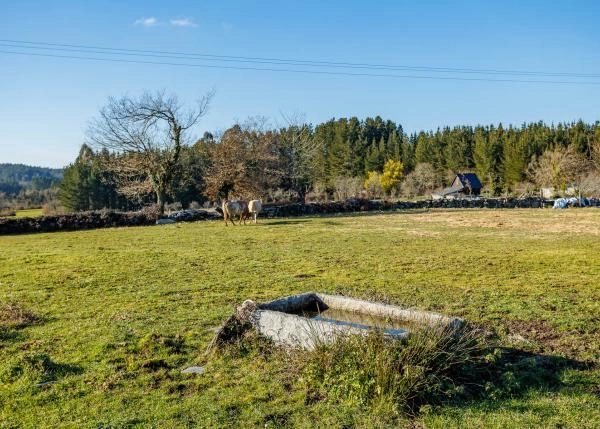 GCH-1698-Corgo-Exterior-31-64abdcee1a6e1