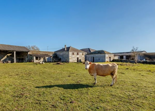 GCH-1698-Corgo-Exterior-4-64abdc9008aac