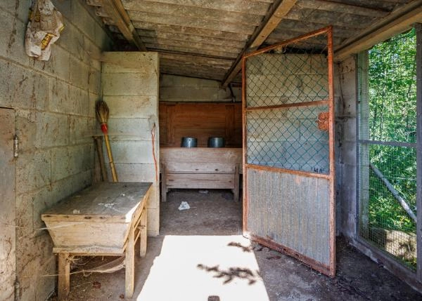 1756 Touro gallinero exterior