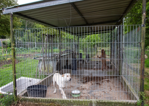 19A1924-64a273b69b564