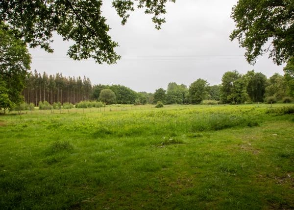 19A1926-64a273b20a043