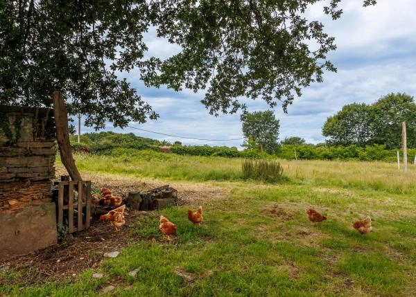 GCH-1793-Pazo-de-Briona-Patio-Jardines-Huerta-134-64d0a2e951fa3