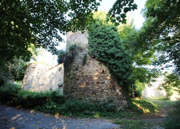 IMG-9147-Copiar-64c3f932e5147