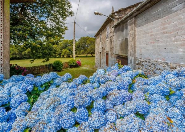 40-GCH-876-casa-labranza-rural-piedra-horreo-hortensias-64bd02f6d68e0