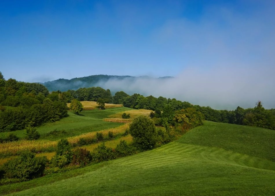 paisaje-rural-con-cielo-azul-sobre-verde-oportunidad-gch-galicia