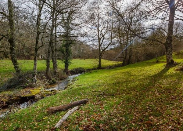 GCH-rio-galicia-campo-naturaleza